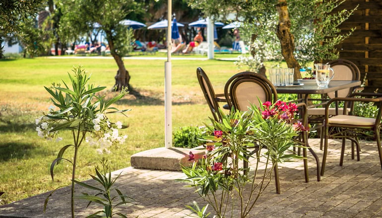 Olive Trees Garden - Ληξούρι, Κεφαλονιά