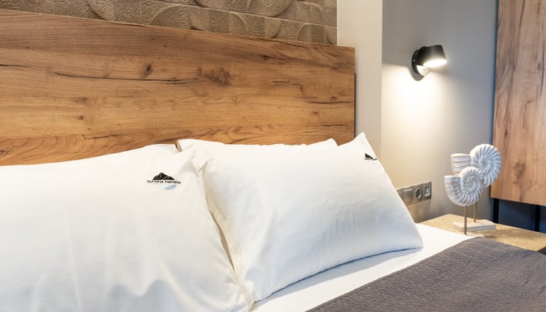 Olympus Pantheon Hotel - Λιτόχωρο, Πιερία