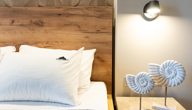Olympus Pantheon Hotel - Λιτόχωρο, Πιερία