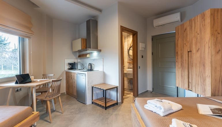 Olympus Pantheon Hotel - Λιτόχωρο, Πιερία