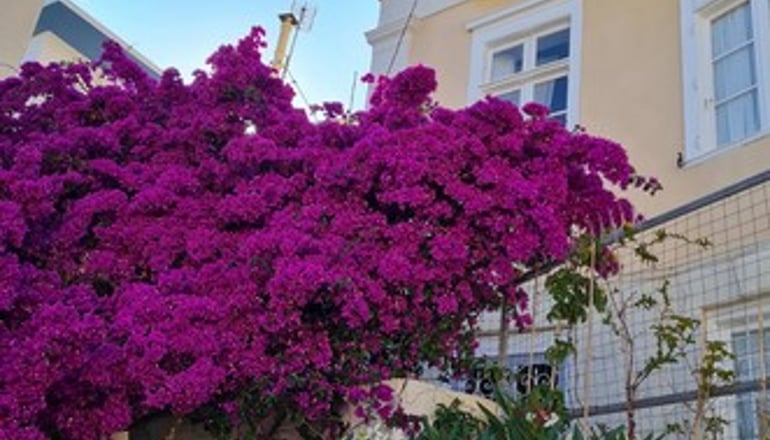 Omiros Hotel - Ερμούπολη, Σύρος