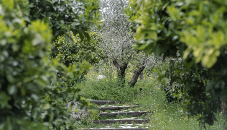 Opora Country Living  - Πυργιώτικα, Ναύπλιο