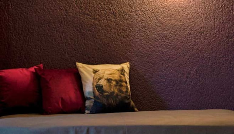 Ξενώνας Παιώνια