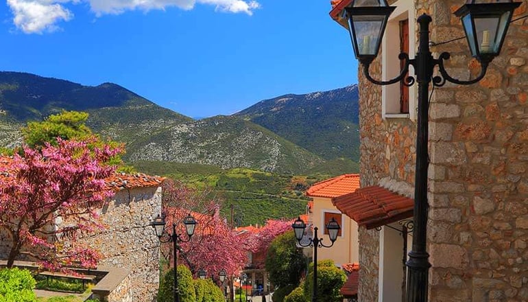 Ξενώνας Παιώνια