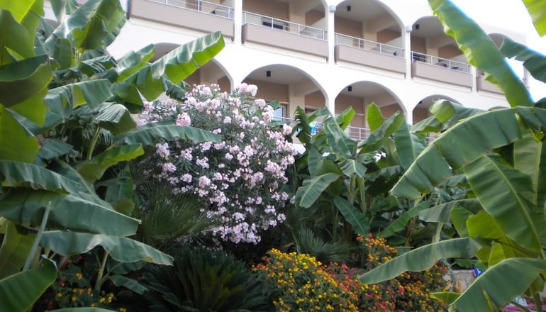 Paradise Lost Hotel Apartments - Τολό, Αργολίδα