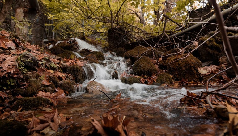 Dreamwood Chalet by Bill & John Apartments & Villas