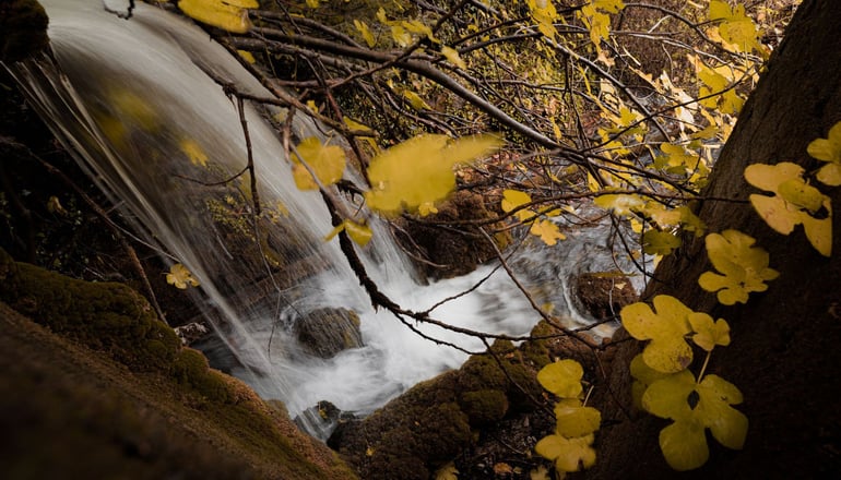 Dreamwood Chalet by Bill & John Apartments & Villas