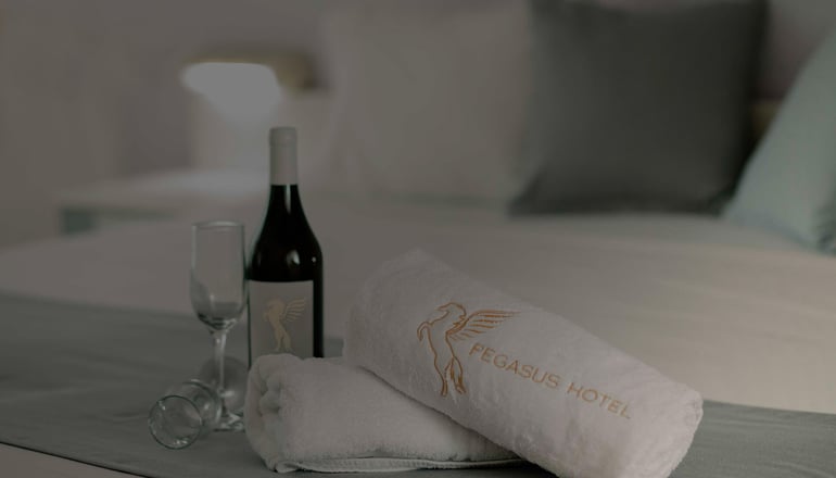 Pegasus Hotel
