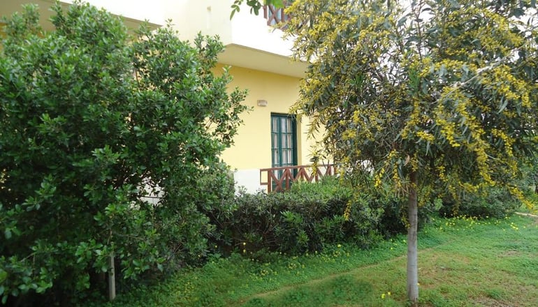 Portokali Hotel Apartments - Χερσόνησος, Κρήτη