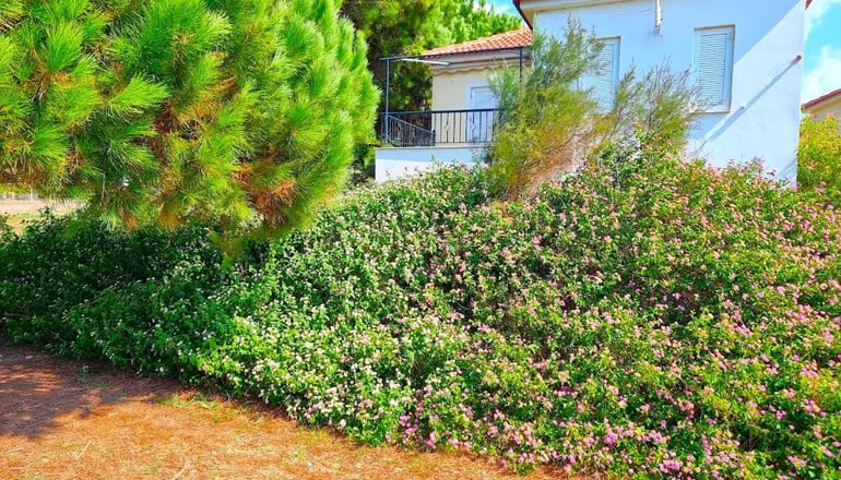 Romanos Beach Villas by Xenia Resorts - Πύλος, Μεσσηνία