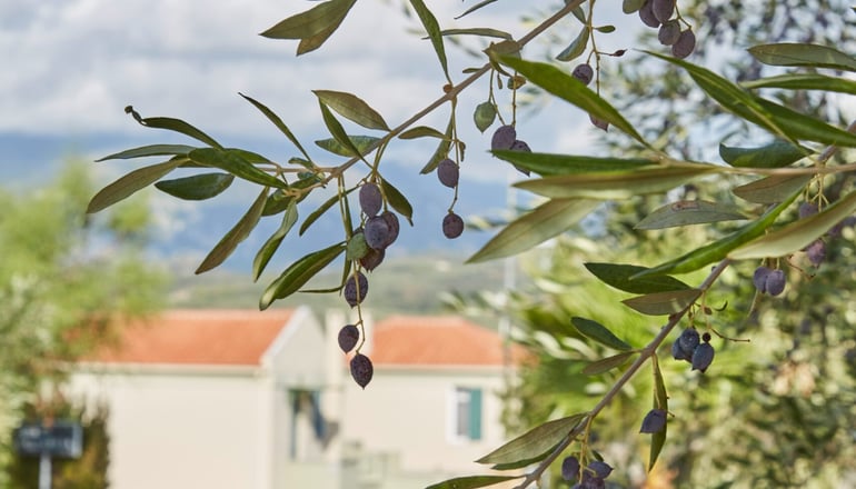 Searocks Exclusive Village - Κιτριές, Μεσσηνία