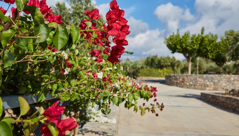 Searocks Exclusive Village - Κιτριές, Μεσσηνία