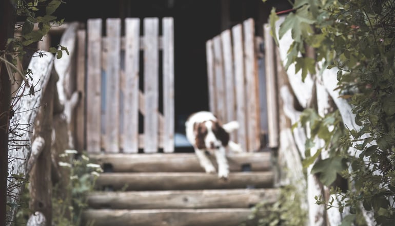 Sfendamos Wood Village