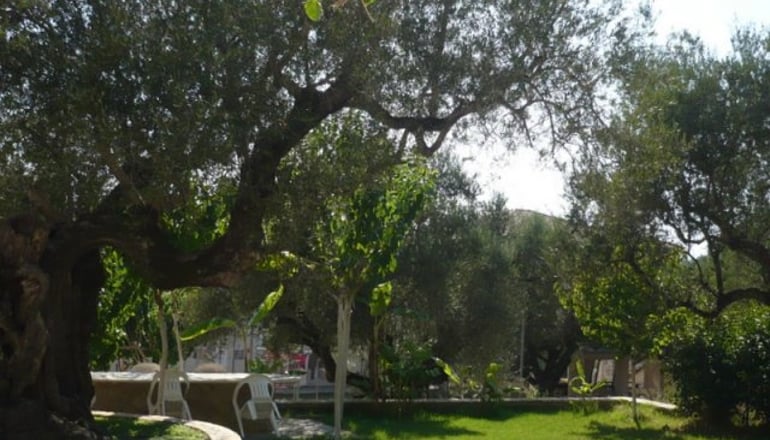 Small Village