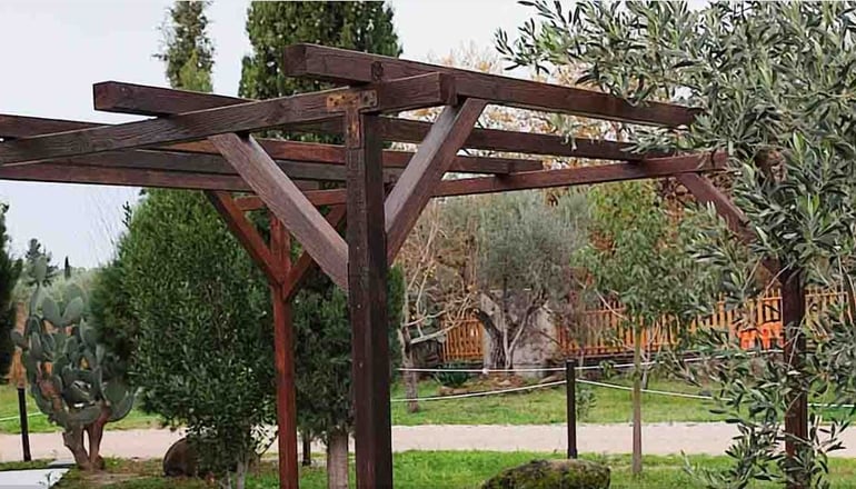 Socrates Organic Village Wild Olive - Αγριλιά, Μεσολόγγι