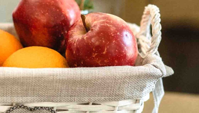 Socrates Organic Village Wild Olive - Αγριλιά, Μεσολόγγι
