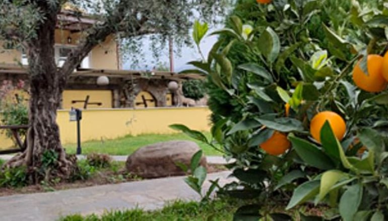 Socrates Organic Village Wild Olive - Αγριλιά, Μεσολόγγι