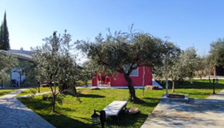 Socrates Organic Village Wild Olive - Αγριλιά, Μεσολόγγι