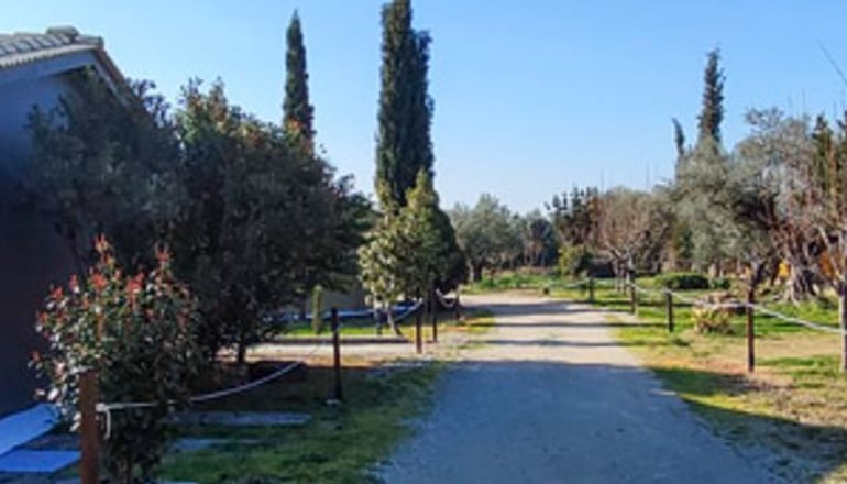 Socrates Organic Village Wild Olive - Αγριλιά, Μεσολόγγι