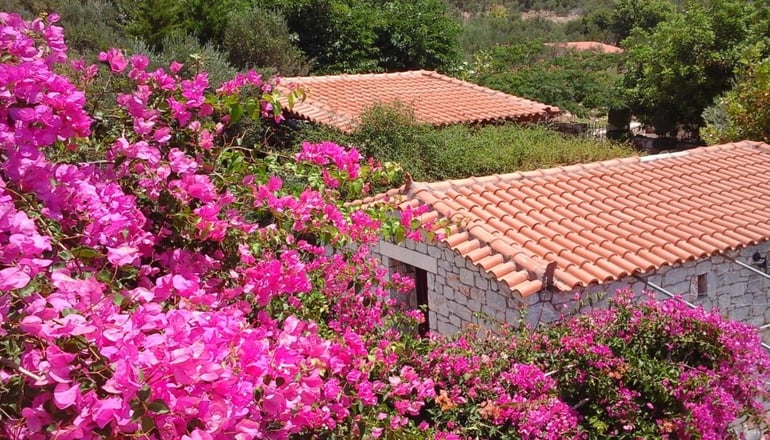 Sofia Mina Green Villa - Νέο Οίτυλο, Μάνη