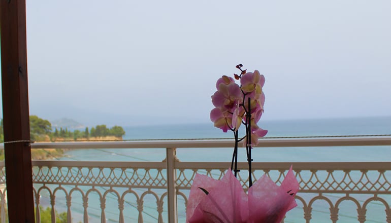 Sofotel - Κορώνη