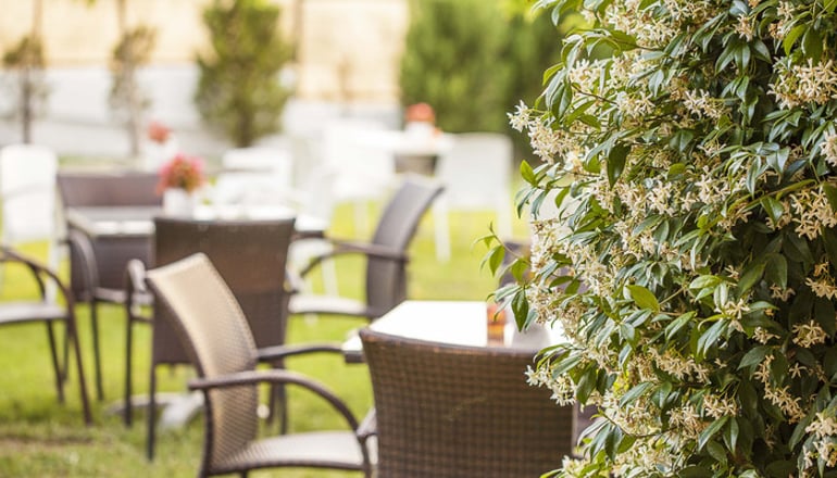 Sunny Hill - Σάνη, Χαλκιδική