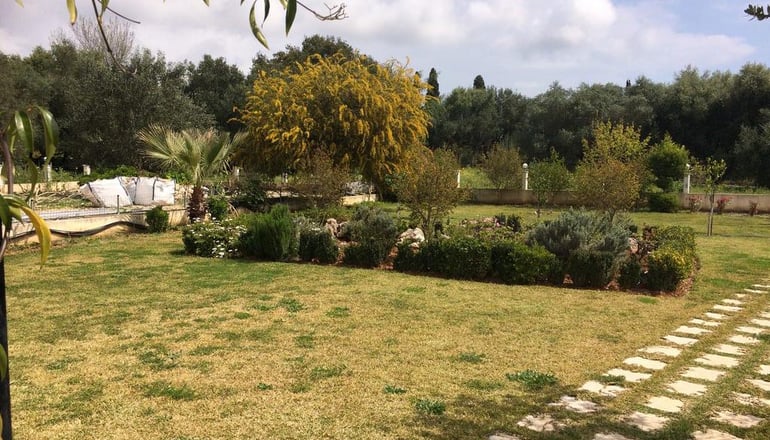 Sunny Studios Kefalonia