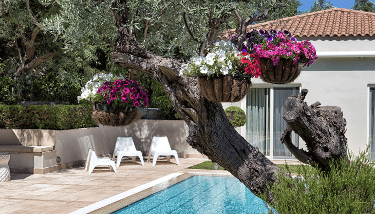 The Marble Resort - Δροσιά, Χαλκίδα