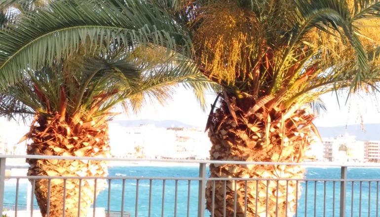 Theoxenia Hotel - Λουτράκι