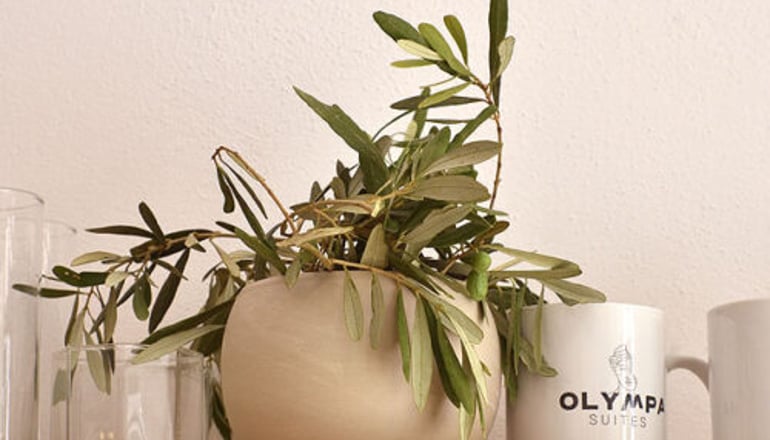 Olympa Suites - Παραλία Λιτοχώρου, Πιερία
