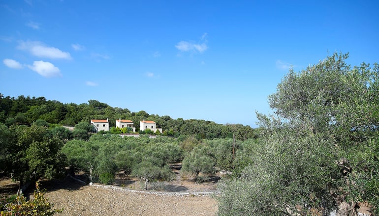 Vederi Estate - Ρέθυμνο, Κρήτη
