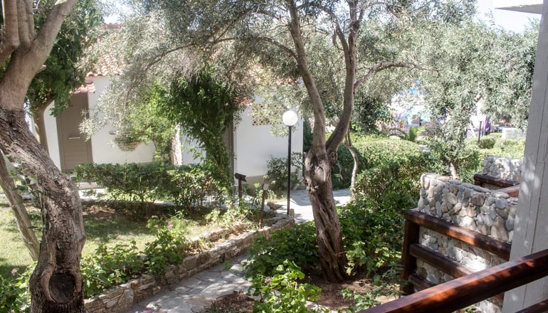 Venus Beach Hotel - Νέα Στύρα, Εύβοια