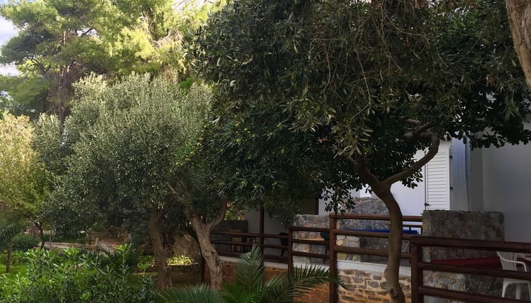 Venus Beach Hotel - Νέα Στύρα, Εύβοια