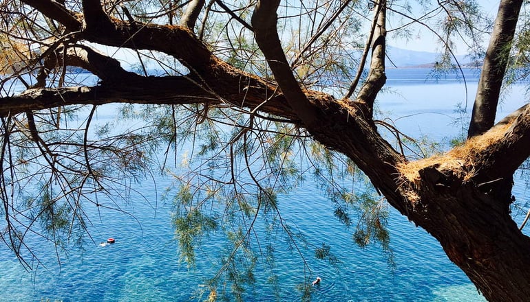 Venus Beach Hotel - Νέα Στύρα, Εύβοια