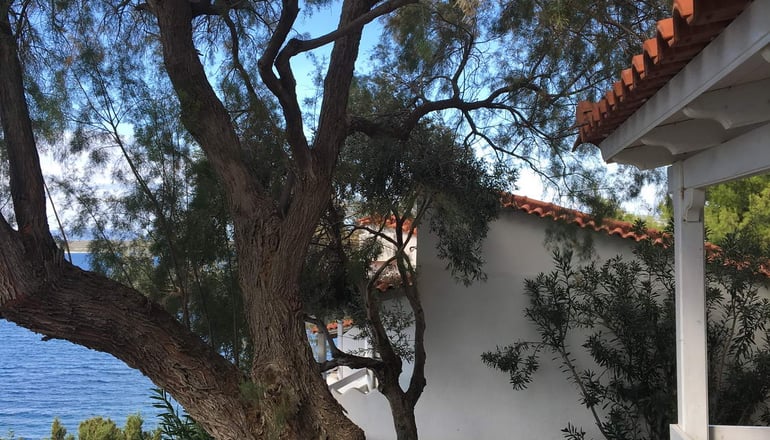 Venus Beach Hotel - Νέα Στύρα, Εύβοια