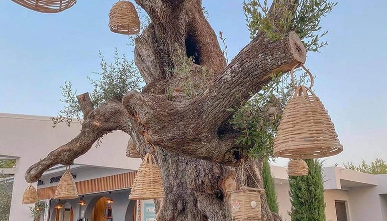 Venus Luxury Resort