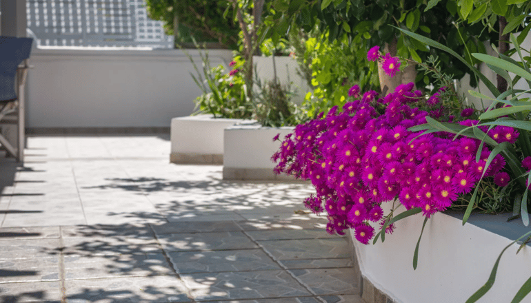 Vira Vivere Houses - Πλάκα, Μήλος
