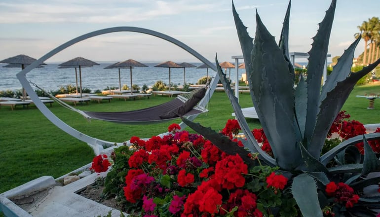 4* Windmill Bay Hotel - Αργάσι, Ζάκυνθος