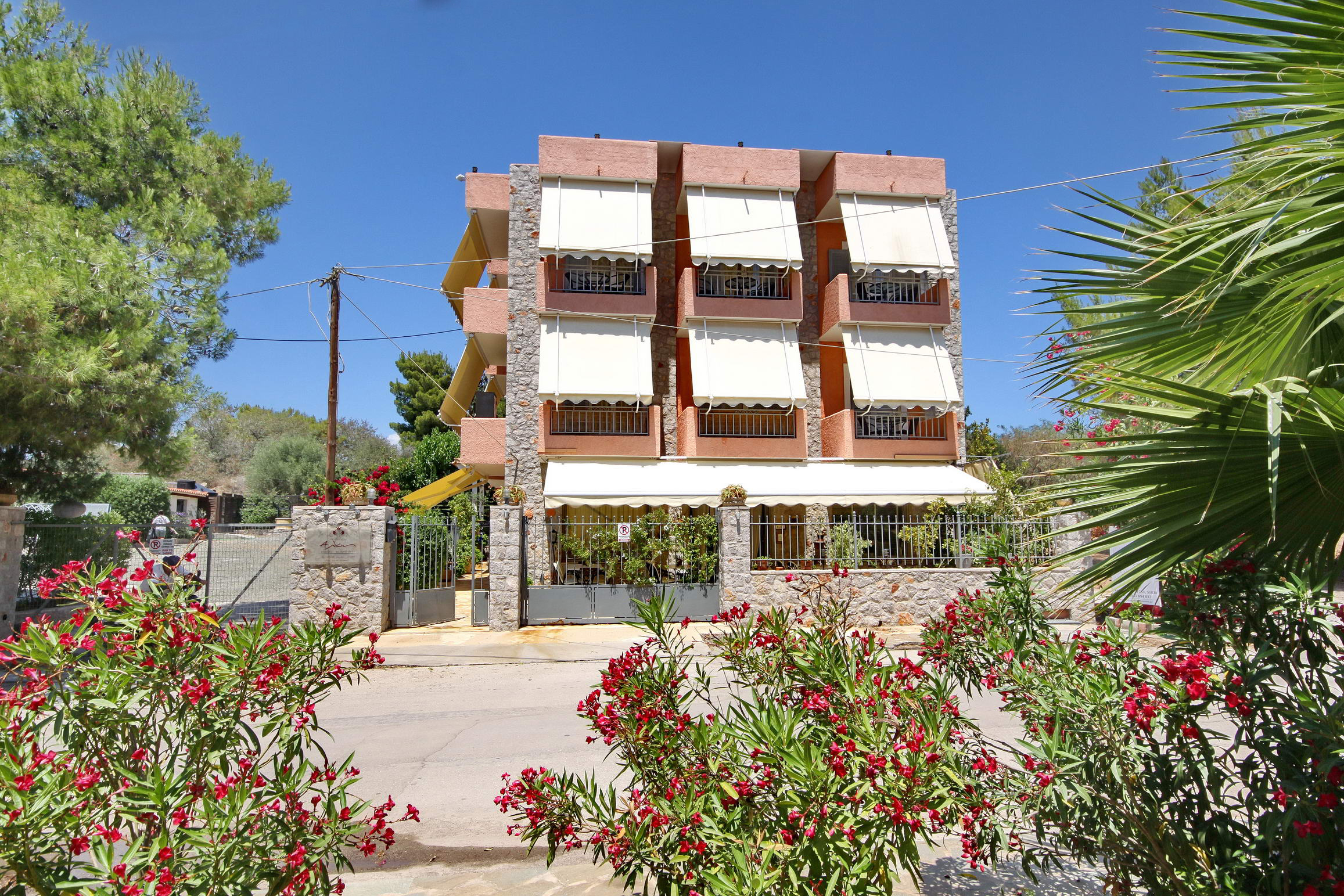 Aloe Luxury Apartments & Suites -    50/