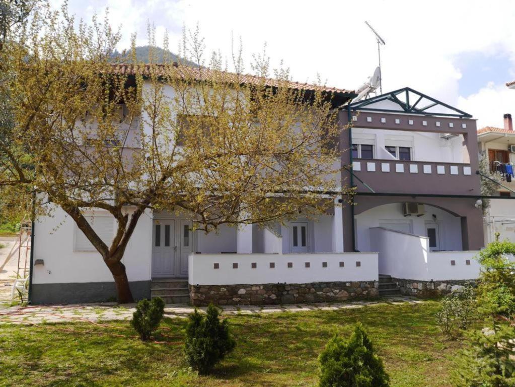 Blue Sky Villas - Θάσος ✦ 2 Ημέρες (1 Διανυκτέρευση) ✦ 5 άτομα ✦ 1 ✦ 16/05/2022 έως 30/09/2022 ✦ Υπέροχη τοποθεσία!