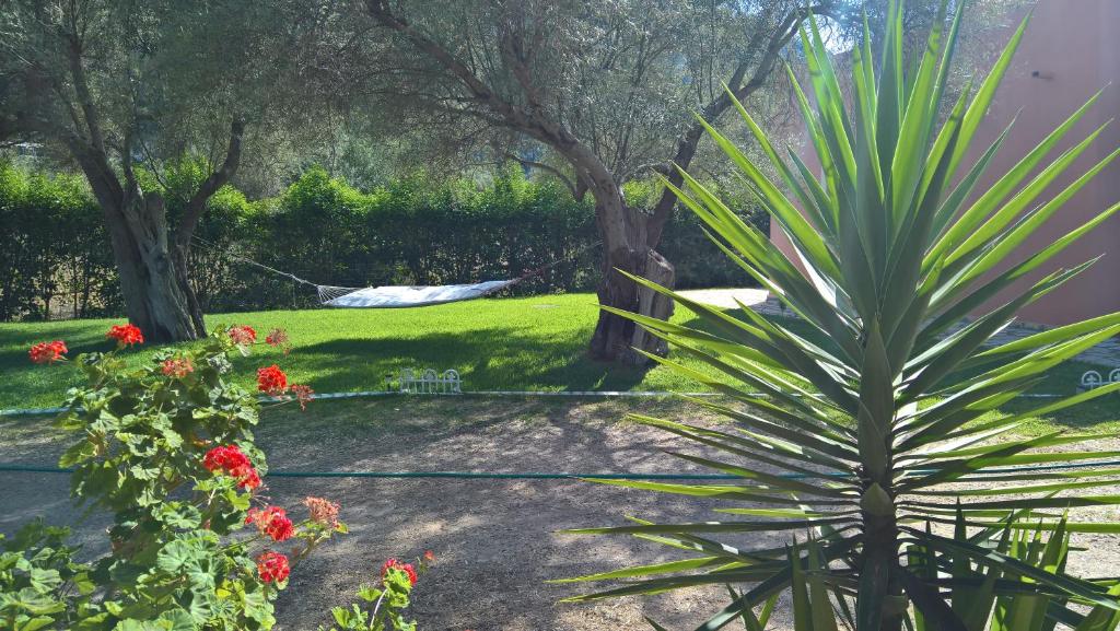 Ionian Breeze Studios Λευκάδα Διαμονή Ekdromi.gr