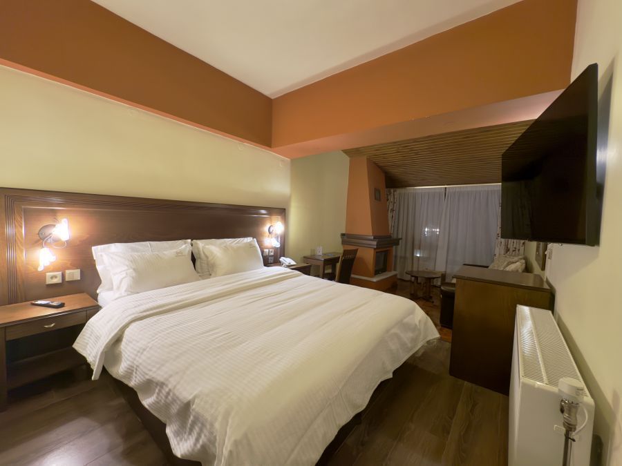 Junior Σουίτα με θέα Πήλιο